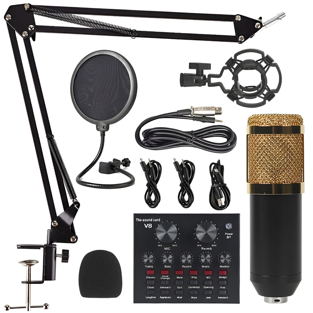 ZH SoundCast Pro V8 Podcast Microphone Kit with Live Sound Card