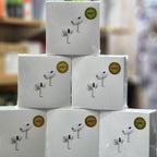 Apple AirPods Pro (2nd Generation) with Active Noise Cancellation (ANC)