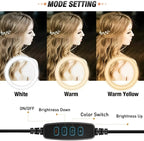 ZH 26CM LED Ring Light with Mobile Holder & 7ft Tripod Stand